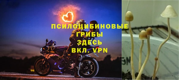 герыч Магадан