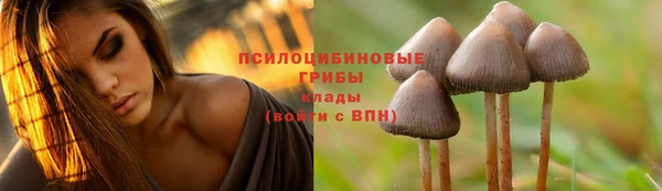 твердый Орск