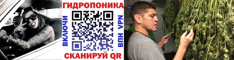 Конопля индика  купить наркоту  Долинск 